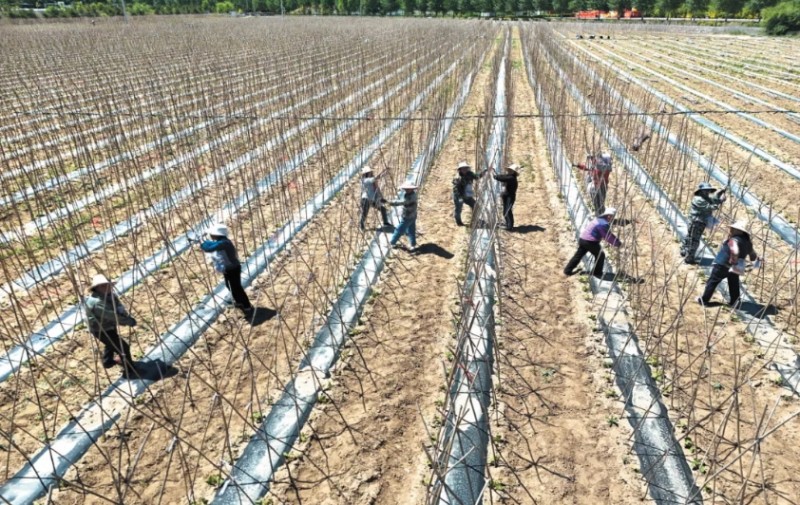 微信截图_20250612164058