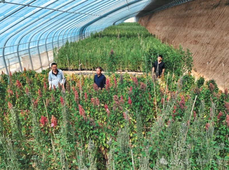 微信截图_20250613105903