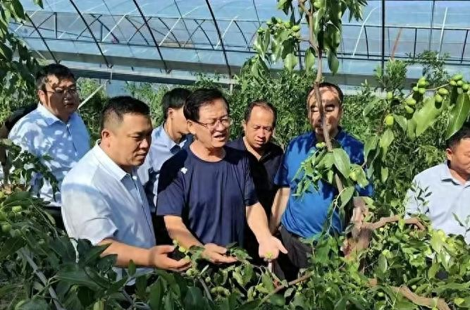 吕梁临县克虎镇---特色产业为乡村振兴赋能增收