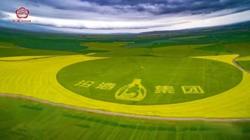 微信截图_20250616104047