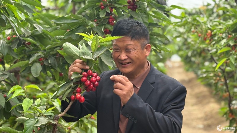 745e2ddc-4d97-45ad-af12-cbc19300343f_batchwm