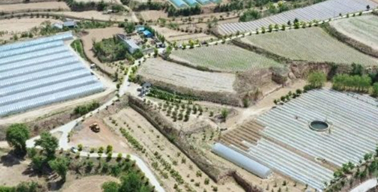 微信截图_20250617155849