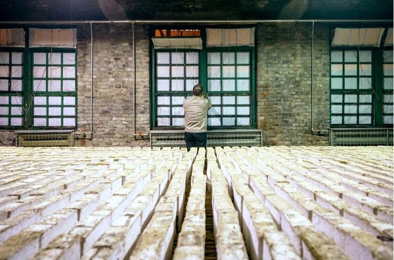 微信截图_20250618114933