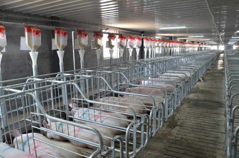 3f98a1b9641fb6536f5e06d2ad7652d9~tplv-tt-origin-web_gif