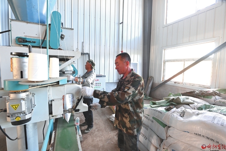 微信截图_20250630091514