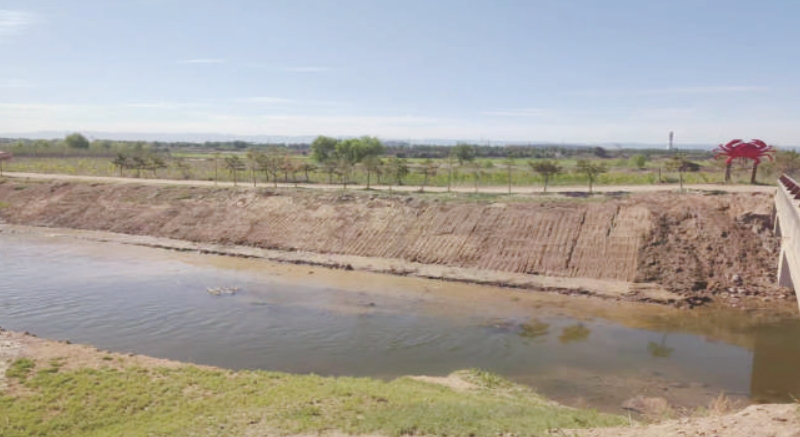 微信截图_20250630093548