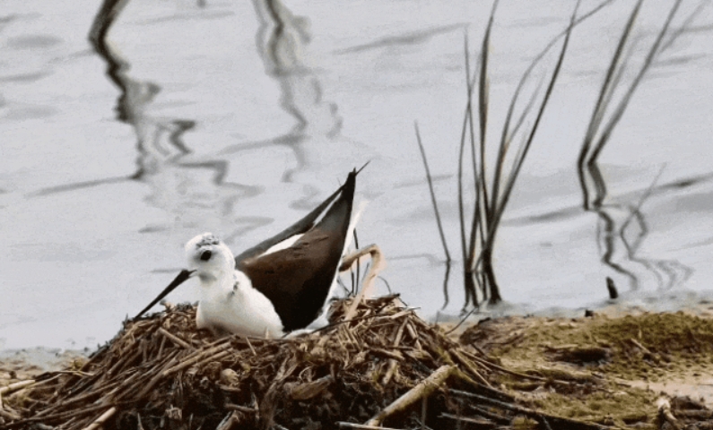 微信截图_20250708173931