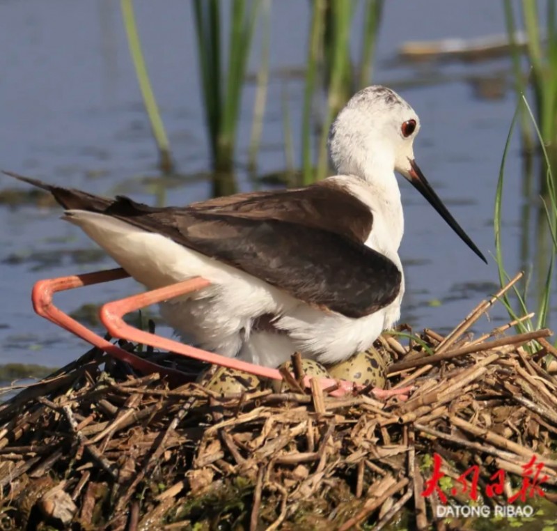 微信截图_20250708173952