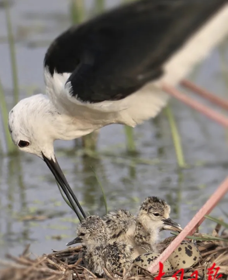 微信截图_20250708174019