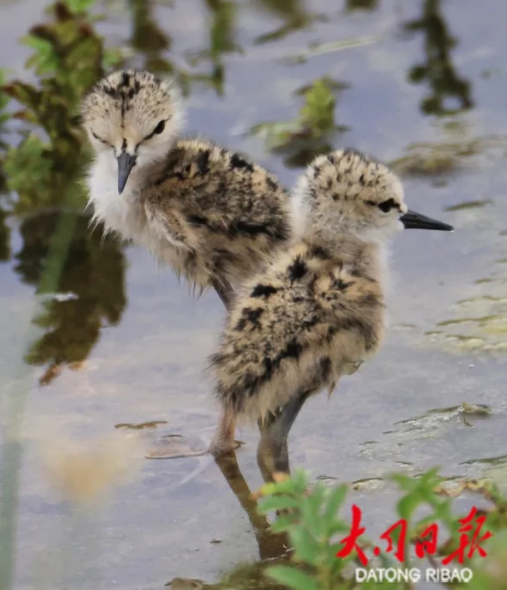 微信截图_20250708174058