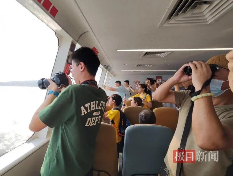 微信截图_20250709111419