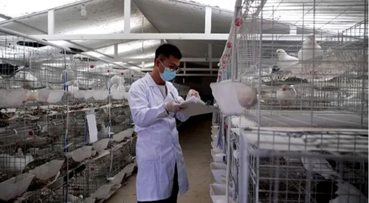 微信截图_20250710161801