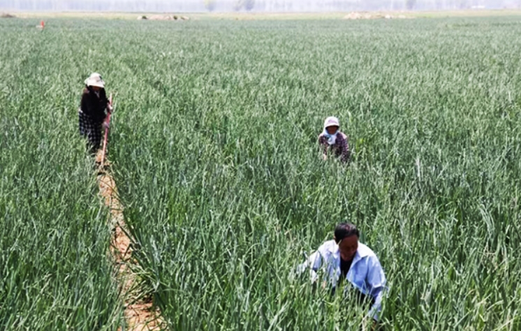 微信截图_20250711111609