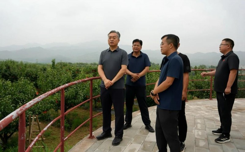 山西省晋中市榆社县委副书记、县长魏栋在河峪乡调研乡村振兴工作