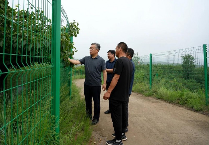 山西省晋中市榆社县委副书记、县长魏栋在河峪乡调研乡村振兴工作