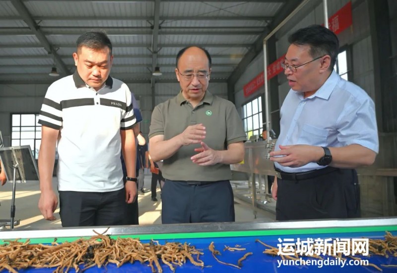 以全产业链思维推动中药材产业提质增效 姚逊调研全市中药材产业发展情况