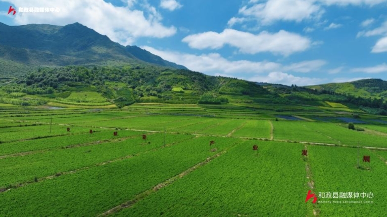 微信截图_20250717102548