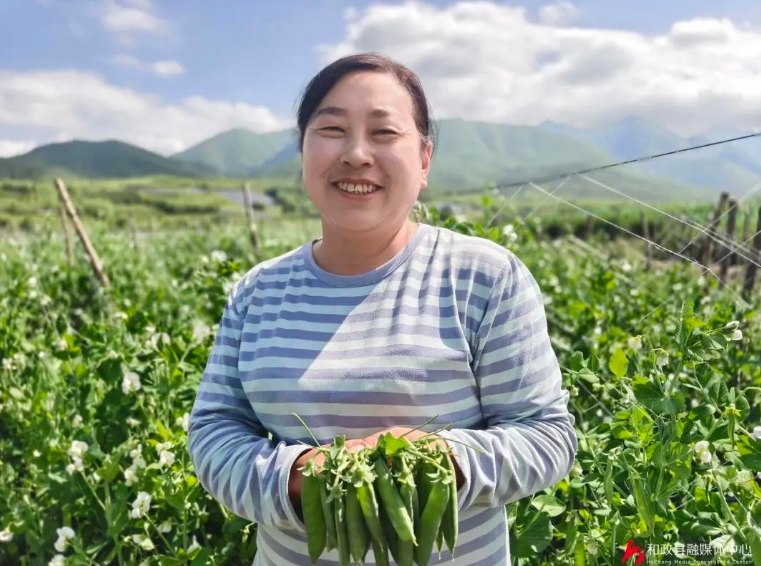 微信截图_20250717102618