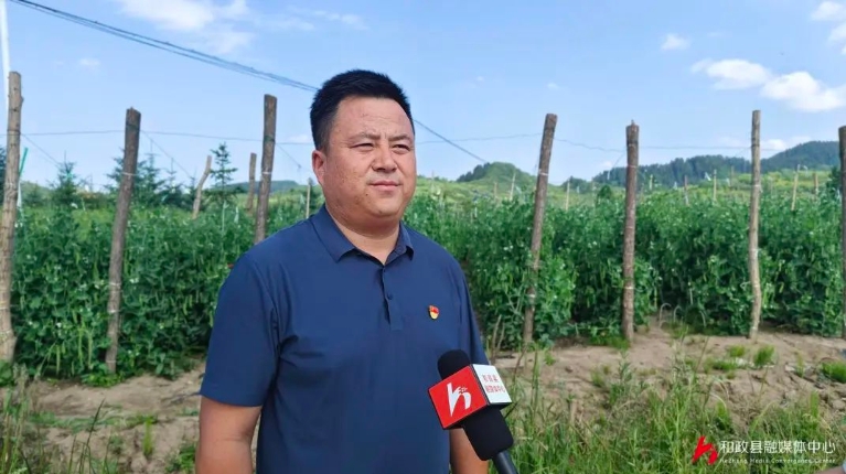 微信截图_20250717102646