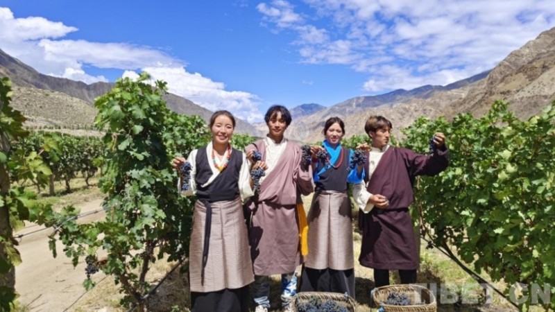 微信截图_20250717102849