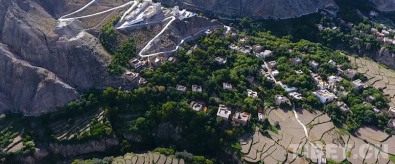 微信截图_20250717102944