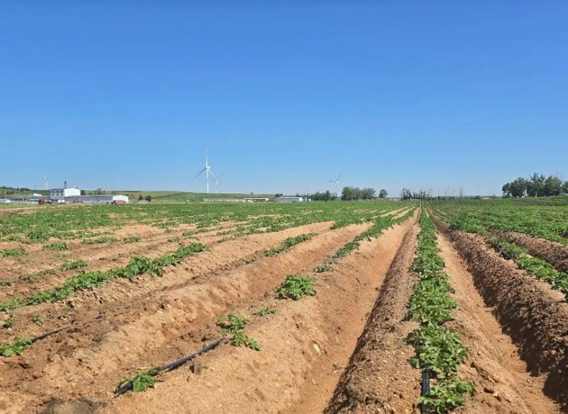 微信截图_20250718095915