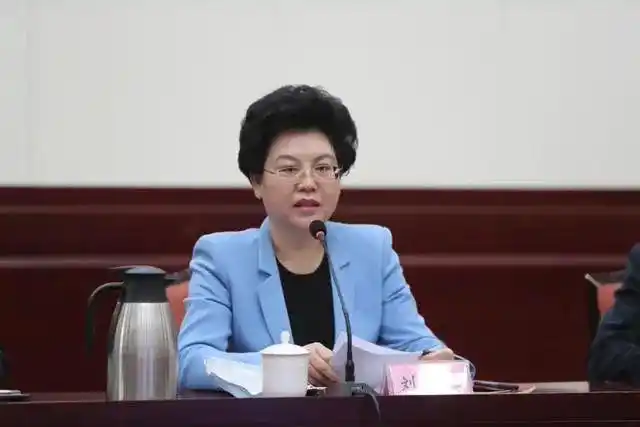 打虎!正部级刘慧,被查