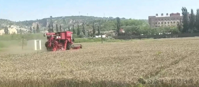 微信截图_20250722120533