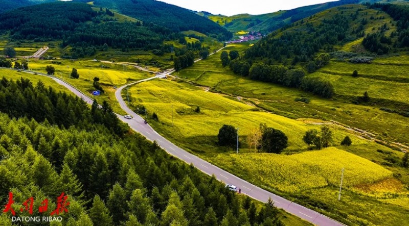 微信截图_20250722141327