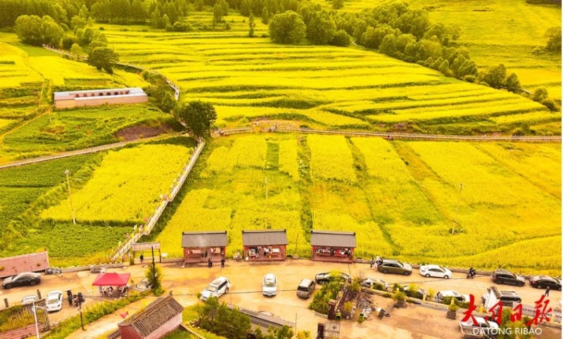 微信截图_20250722141351