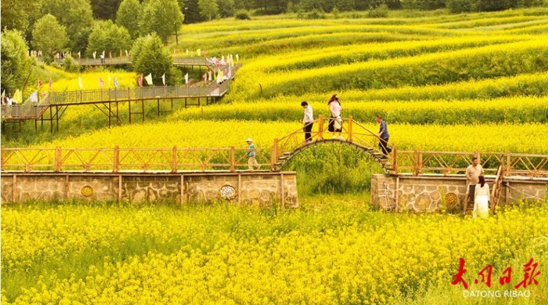 微信截图_20250722141401