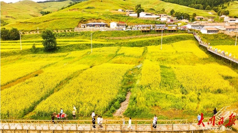 微信截图_20250722141410