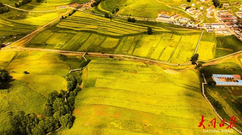 微信截图_20250722141451