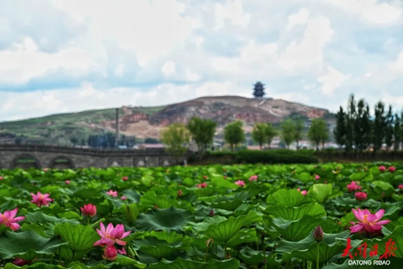 微信截图_20250723173108