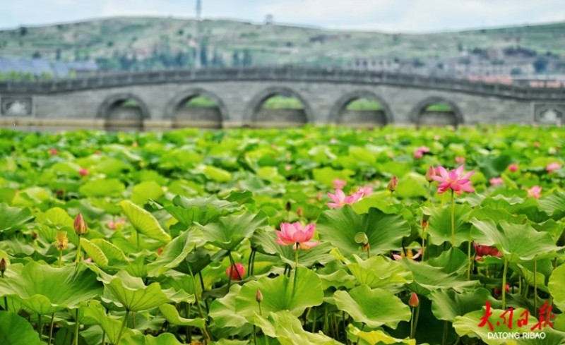 微信截图_20250723173117