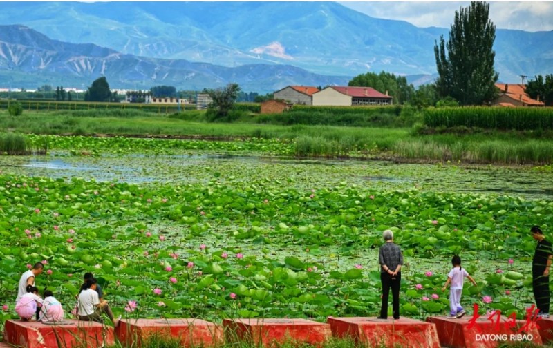 微信截图_20250723173132