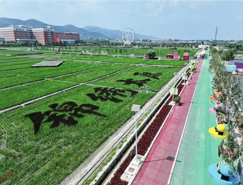 微信截图_20250724101339