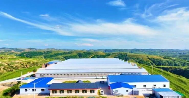 微信截图_20250724105126