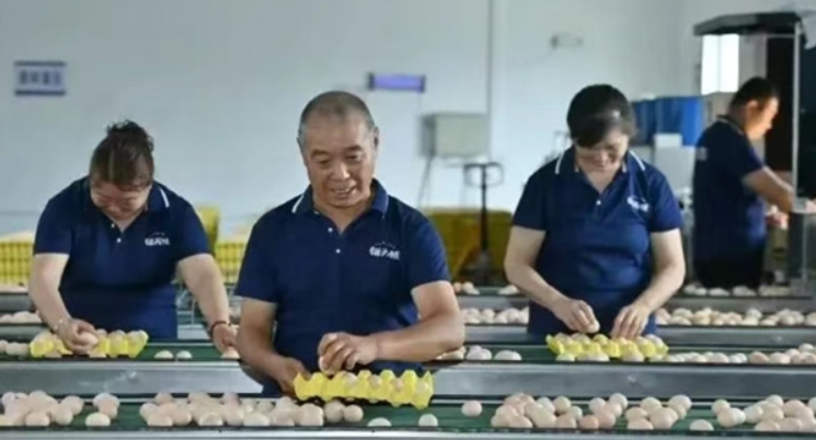 微信截图_20250724105134