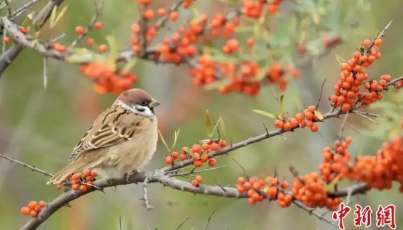 微信截图_20250729103946