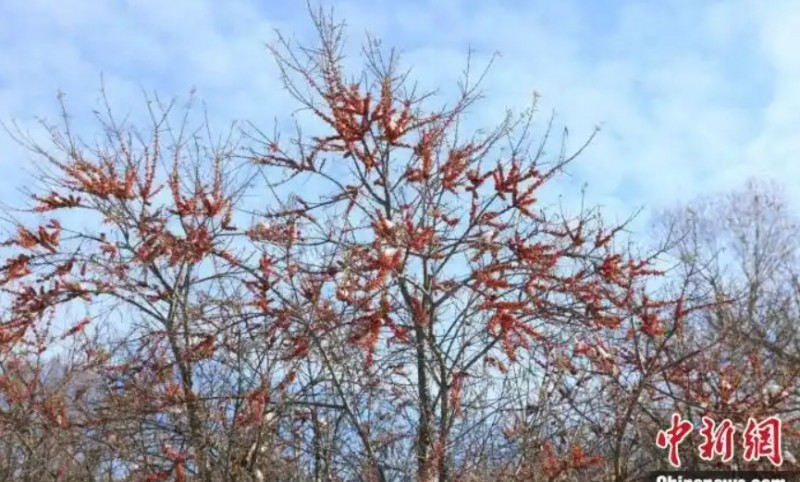 微信截图_20250729104017