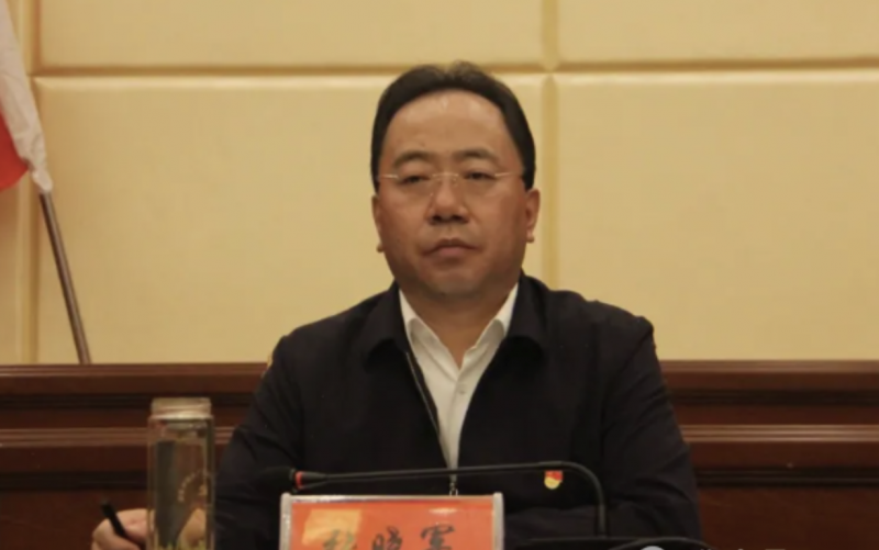 山西人张晓军已被开除党籍,此前主动投案