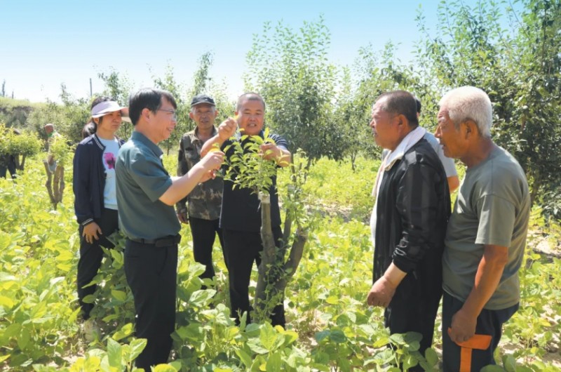 微信截图_20250801162941