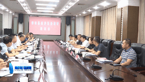 山西省吕梁市柳林县经济形势调研座谈会召开