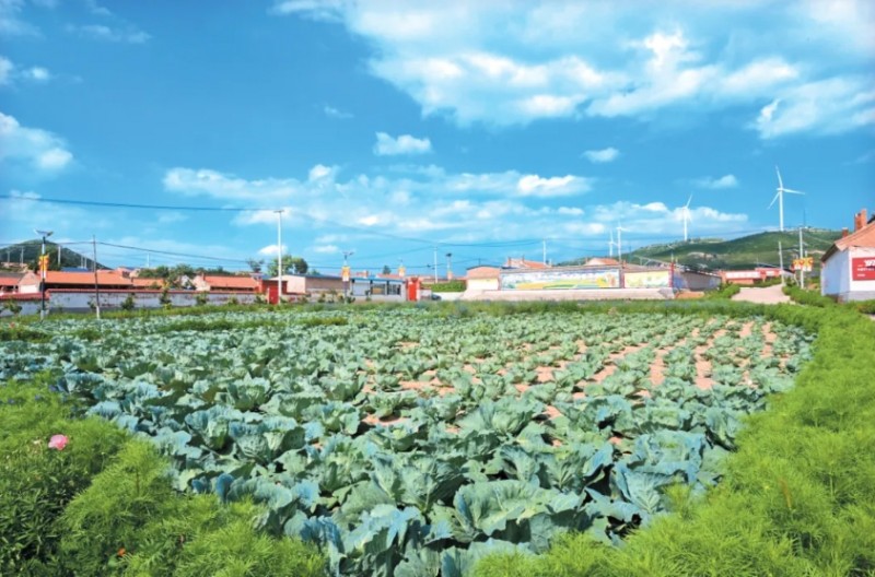 微信截图_20250804145908