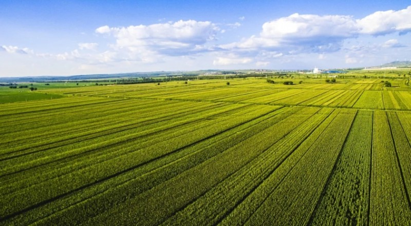 微信截图_20250804150607