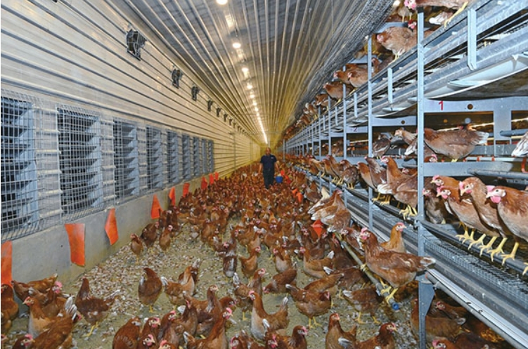 微信截图_20250807112217