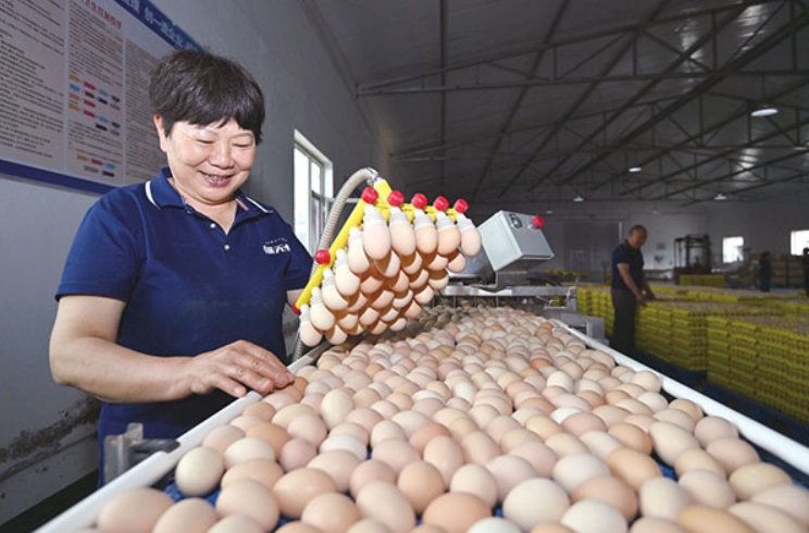 微信截图_20250807112237