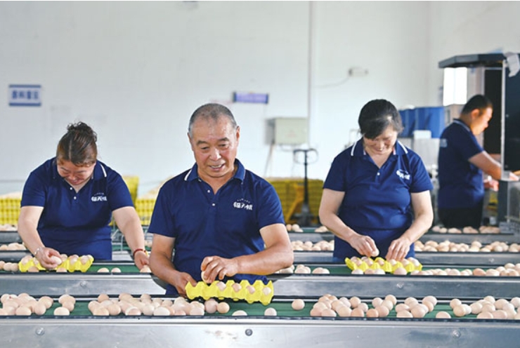 微信截图_20250807112303