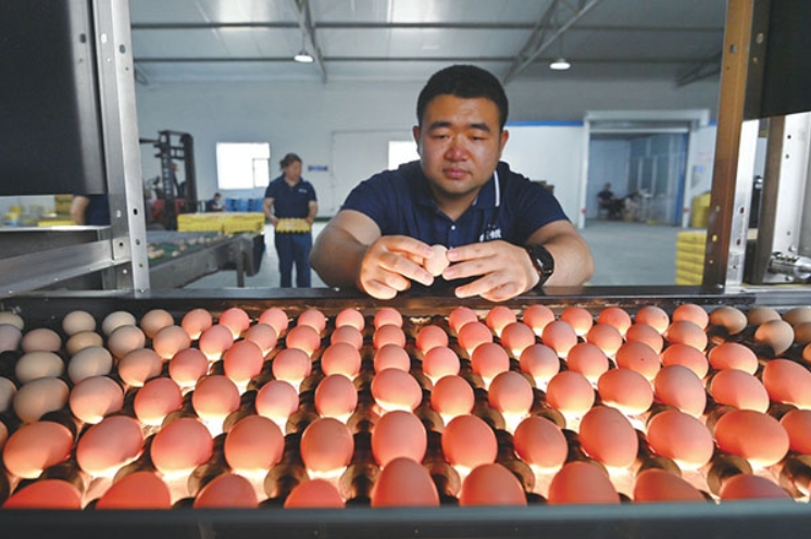 微信截图_20250807112324